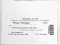 Image Associated With the Occurence